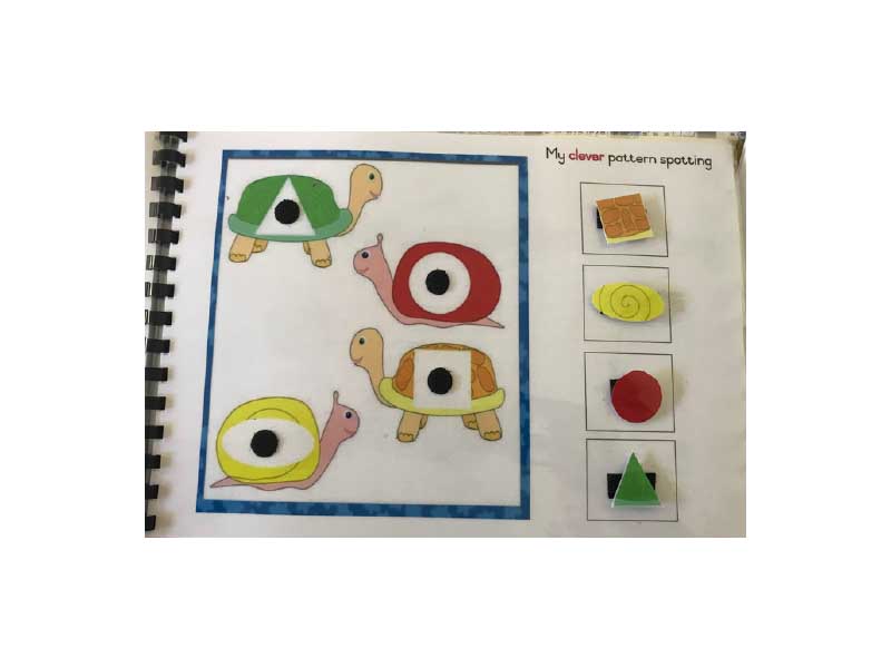 _0000s_0010_my clever book - teacher assessment - pattern.jpg